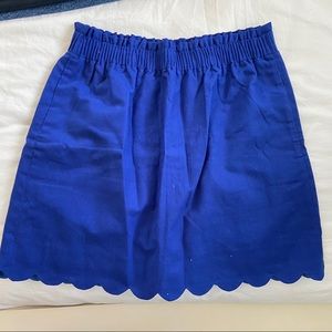 JCrew Skirt